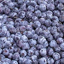 Berries