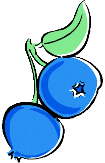 Berries food and drinks