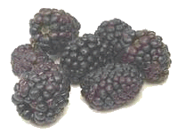 Blackberries