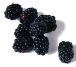 Blackberries food and drinks