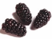 Blackberries