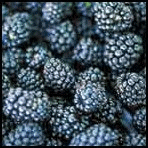 Blackberries