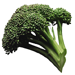 Broccoli food and drinks