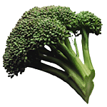 Broccoli