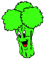 Broccoli food and drinks