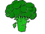 Broccoli food and drinks