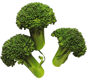 Broccoli food and drinks