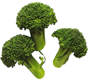 Broccoli