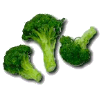 Broccoli