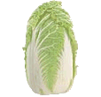 Cabbage