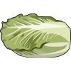 Cabbage food and drinks