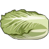 Cabbage