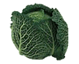 Cabbage