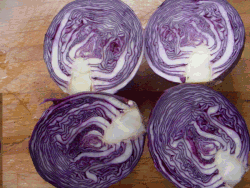 Cabbage