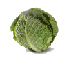 Cabbage food and drinks