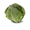 Cabbage