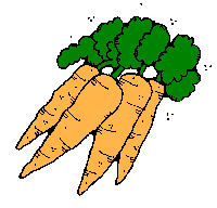 Carrots