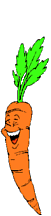 Carrots food and drinks