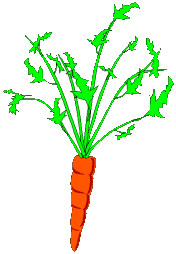 Carrots