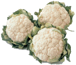 Cauliflower food and drinks