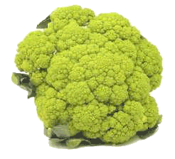 Cauliflower