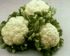 Cauliflower food and drinks