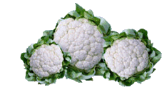 Cauliflower