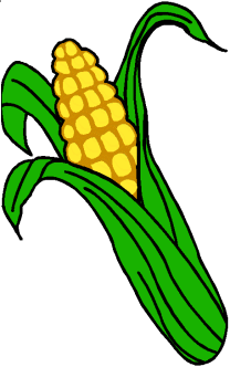 Corn