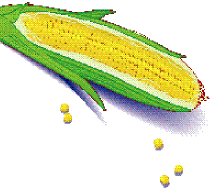 Corn