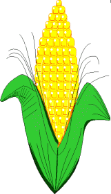 Corn