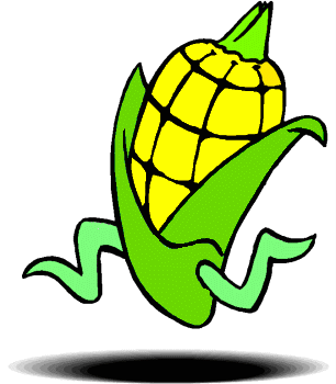 Corn food and drinks