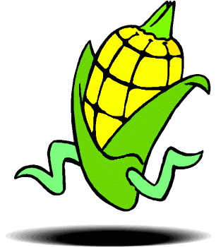 Corn