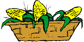 Corn food and drinks