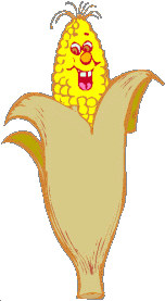 Corn