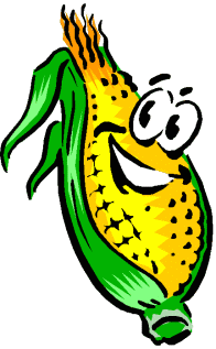 Corn