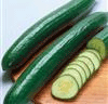 Cucumber