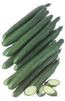 Cucumber