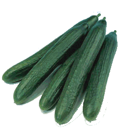 Cucumber