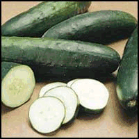 Cucumber