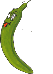 Cucumber