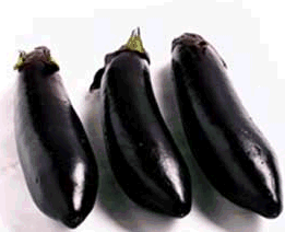 Eggplant