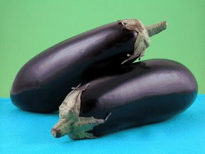 Eggplant