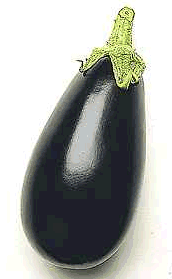 Eggplant