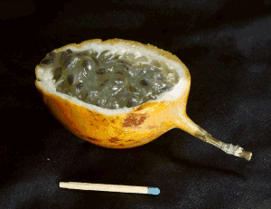 Fruit