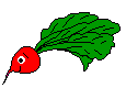 Fruit food and drinks