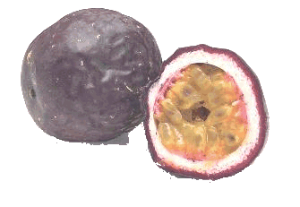 Fruit