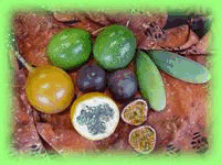 Fruit