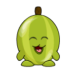 Gooseberries food and drinks