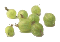 Gooseberries