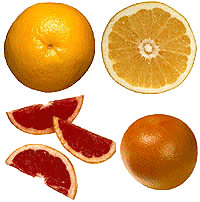 Grapefruit food and drinks